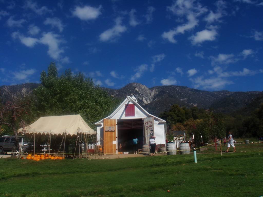 DSC05004