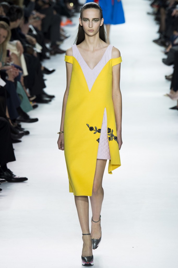 Christian Dior, Fall 2014